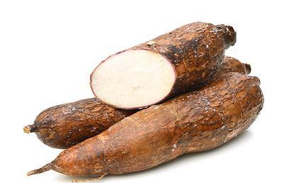 CASSAVA- YAM