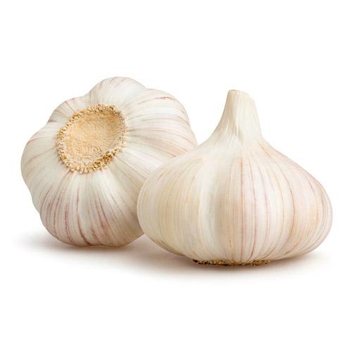 GARLIC - LOOSE