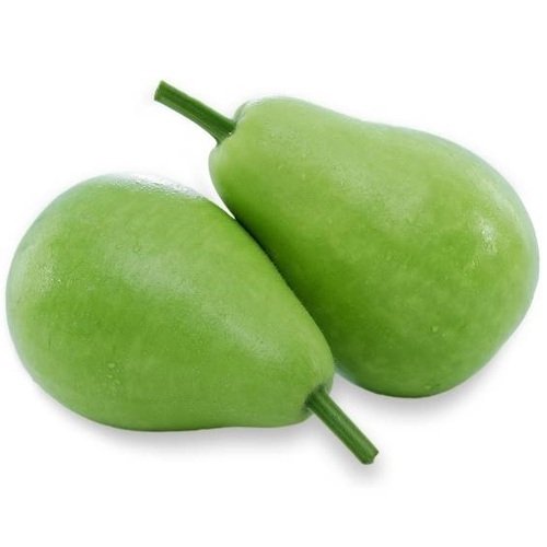 BOTTLE GOURD - ROUND (SORRAIKAI-ROUND DHUDHI) 1PCS