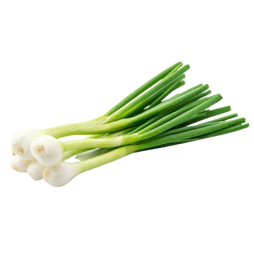 SPRING ONION